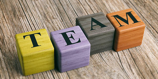 Image representing MEET THE TEAM